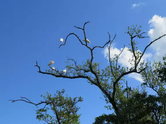 Large lagoon with clear water where kids can swim, tons of shade, and playground in the sand.