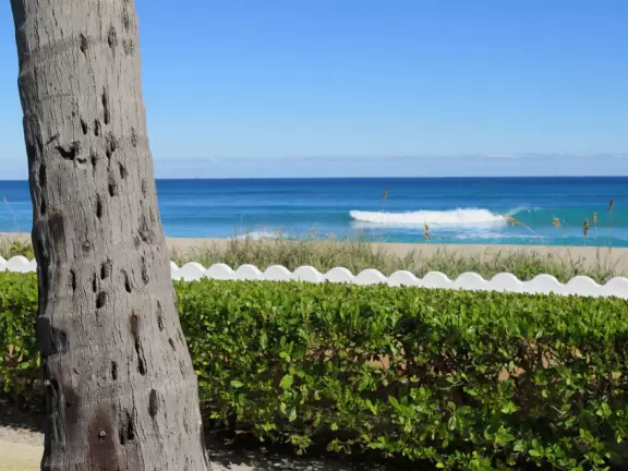 Incredible views of vibrant blue water, and a salmon pink wave wall with white trim.