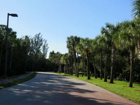 Small walk with fitness equipment.