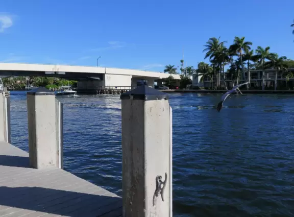 Small spot on the intracoastal waterway. Watch the boats go by!