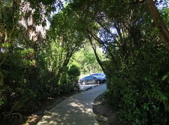 Stand in the shade of the raised pavilion and watch the beach, then enjoy a one-mile shady walk.