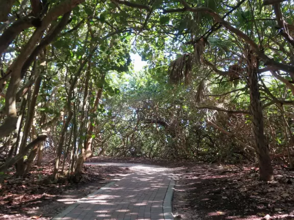 Stand in the shade of the raised pavilion and watch the beach, then enjoy a one-mile shady walk.