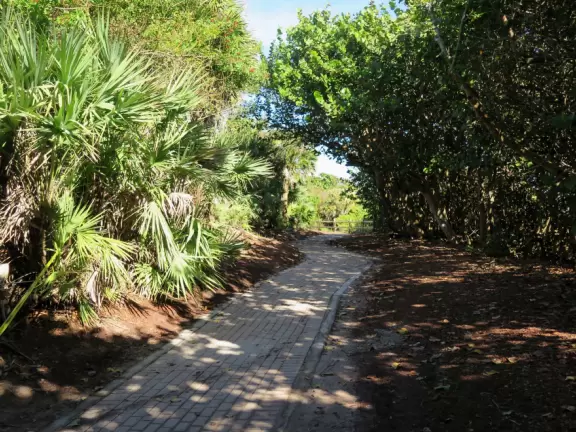Beautiful narrow beach with lifeguard shack. Beach park has many coconut and banyan trees.