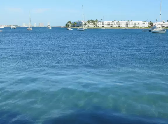 World-famous area full of sealife- see the huge yellow and orange starfish, and manatees, from the jetty! Shaded playground too.