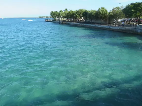 World-famous area full of sealife- see the huge yellow and orange starfish, and manatees, from the jetty! Shaded playground too.