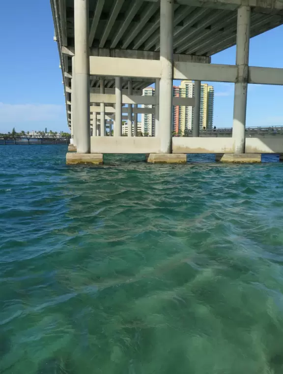 World-famous area full of sealife- see the huge yellow and orange starfish, and manatees, from the jetty! Shaded playground too.