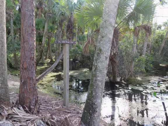 Tropical paradise with amazing trees, soft green grass, and woven huts shading picnic tables with BBQs that line the river, plus bike and kayak rentals. Beware alligators.