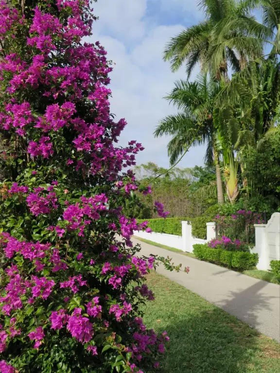 Gorgeous 3 mile walk along the intracoastal on Palm Beach island!