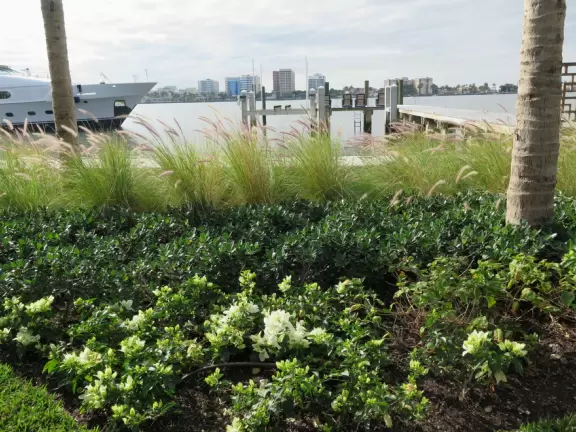 Gorgeous 3 mile walk along the intracoastal on Palm Beach island!