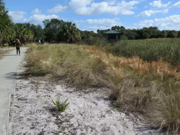 Nature trail with a wide variety of vegetation. Not much shade.