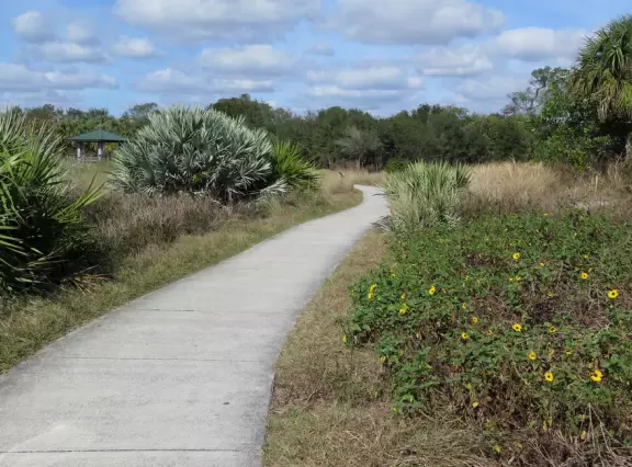 Nature trail with a wide variety of vegetation. Not much shade.
