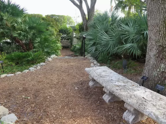 It's blissful to walk past hibiscus flowers, bougainvillea, coconut trees, tall hedges, and mansions, down to the sea.