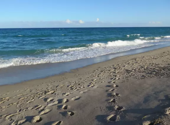 Gorgeous spot with lots of young people on a beautiful white sand beach, and plenty of afternoon shade.