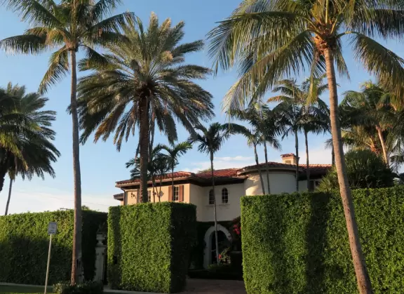 Walk past mansions in the shade of pine and palm trees on Palm Beach Island.