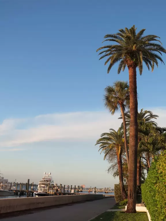 Walk past mansions in the shade of pine and palm trees on Palm Beach Island.
