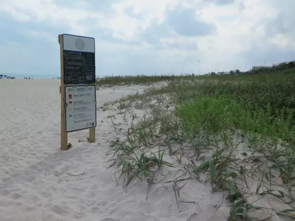 Beautiful beach with an abundance of white sand, lifeguards, gazebos in a park before the beach, and a seagrape forest boardwalk to get to the beach.