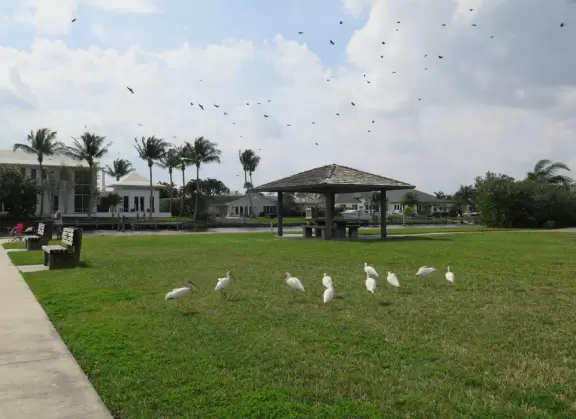 Wide open spot on the intracoastal with views of both bridges, and breezy gazebos with picnic tables.