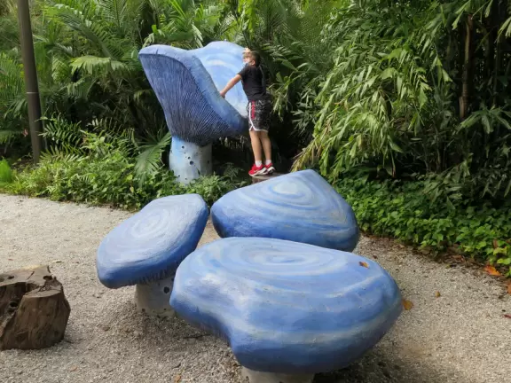 Lush paradise with water lilies galore, rustling bamboo, stone bridge, tropical flowers, strangler fig, and a gorgeous royal palm grove.