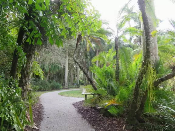 Lush paradise with water lilies galore, rustling bamboo, stone bridge, tropical flowers, strangler fig, and a gorgeous royal palm grove.