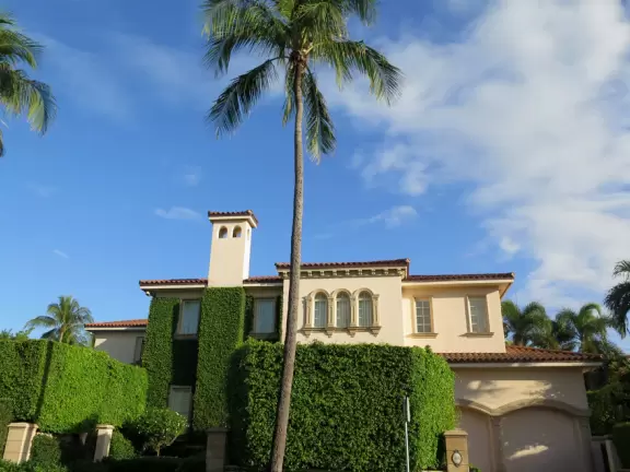 It's blissful to walk past hibiscus flowers, bougainvillea, coconut trees, tall hedges, and mansions, down to the sea.