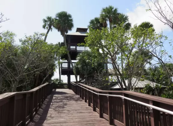 Pleasant 1.5 mile walk in forest and scrub, with white sand easy path.