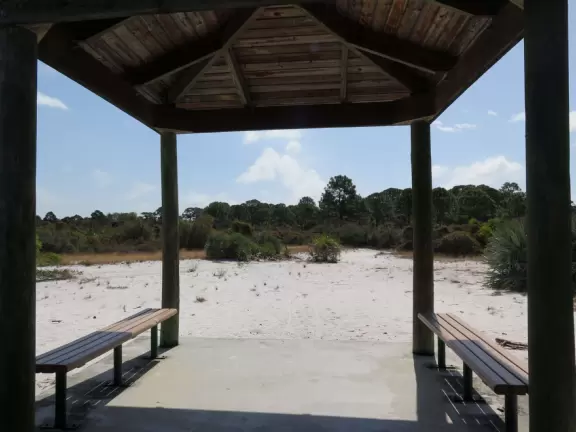 Pleasant 1.5 mile walk in forest and scrub, with white sand easy path.