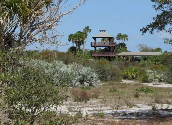 Pleasant 1.5 mile walk in forest and scrub, with white sand easy path.