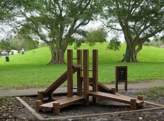 Sports fields and walking trail beside a banyan tree grove, in a city area.