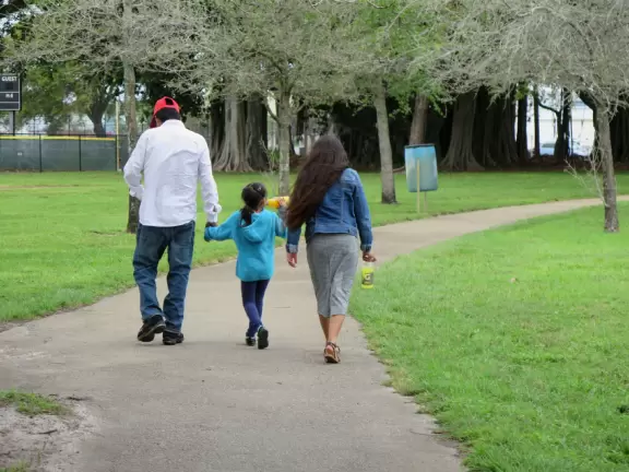 Sports fields and walking trail beside a banyan tree grove, in a city area.