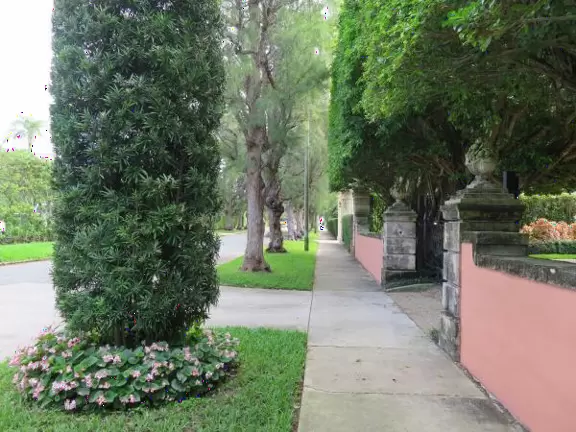 Gorgeous walk under banyan trees past side streets with lush gardens and mansions.