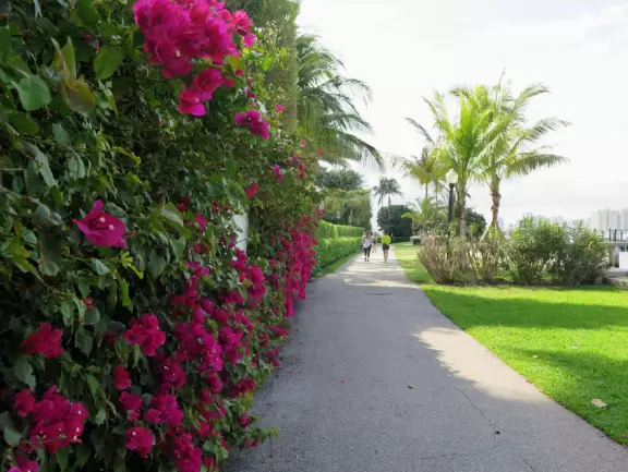 Gorgeous 3 mile walk along the intracoastal on Palm Beach island!