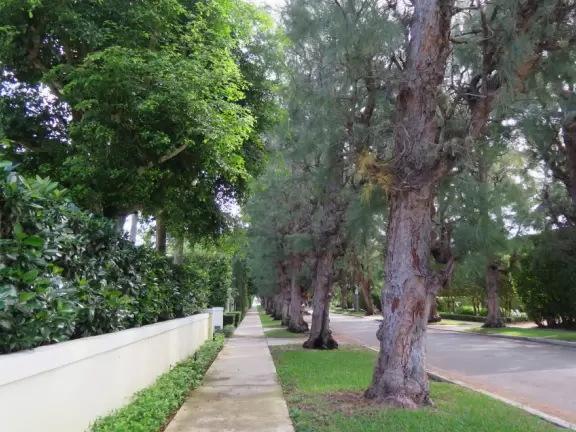 Gorgeous 3 mile walk along the intracoastal on Palm Beach island!