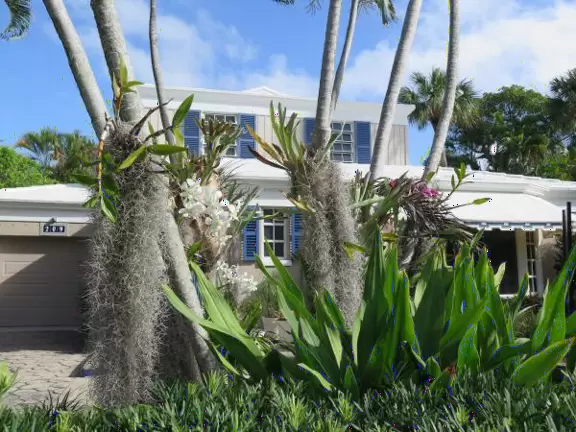 Lovely walk past mansions, flowers, statues, and lanterns.