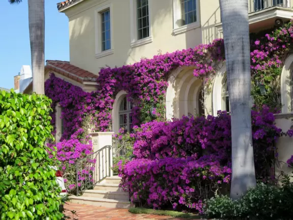 Lovely walk past mansions, flowers, statues, and lanterns.