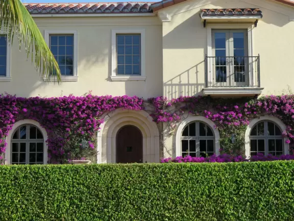 Lovely walk past mansions, flowers, statues, and lanterns.