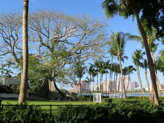 A cement bike and walking path along the intercoastal waterway in front of mansions and past glorious trees.