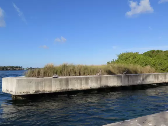 Nice place to park and watch the water rushing in, or stand on the cement jetty and look back at the beach.