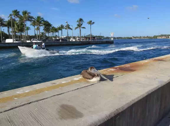 Nice place to park and watch the water rushing in, or stand on the cement jetty and look back at the beach.