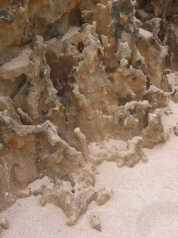 Tide pools, rock spires, sandy beach, and part of the set from Lost! Also called Papailoa Beach.&nbsp;
