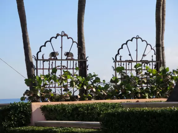 Elephant ironwork gate.