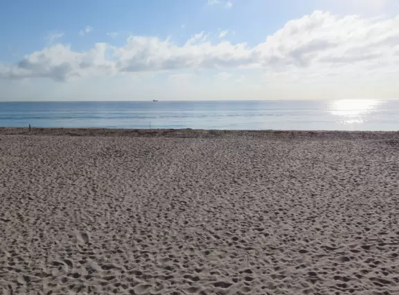 Walk past mansions in the shade of pine and palm trees on Palm Beach Island.