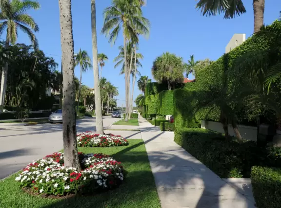 Walk past mansions in the shade of pine and palm trees on Palm Beach Island.