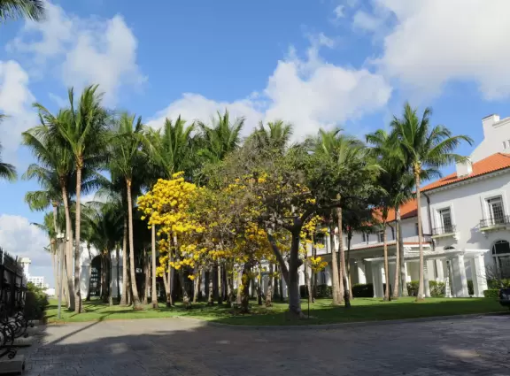 Mansion at one of the most beautiful waterfront settings in Florida!