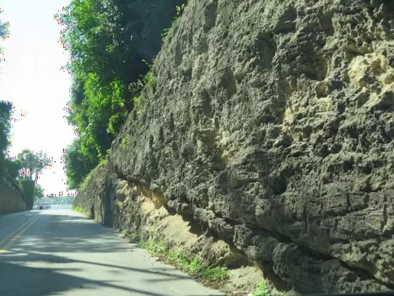 Gorgeous 3 mile walk along the intracoastal on Palm Beach island!