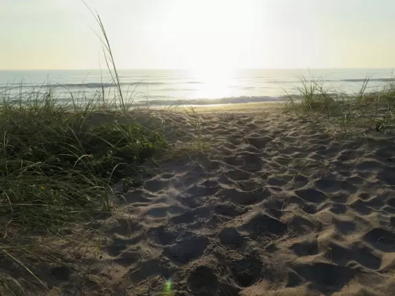 Nice beach for a long walk and shell collecting.