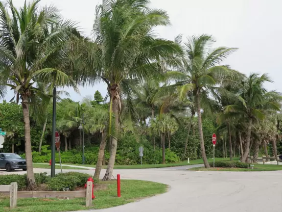 Beach with technicolor blue-green water sometimes, and a huge shady picnic pavilion where neighbors gather to watch the water, on beautiful Jupiter Island.