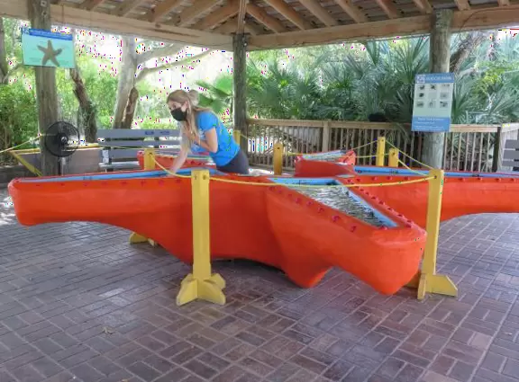 Beautiful nature center on Hutchinson Island, with nature trail on boardwalks, lagoon filled with sharks and game fish, stingrays you can feed by hand, and huge ocean deck with views around the island!