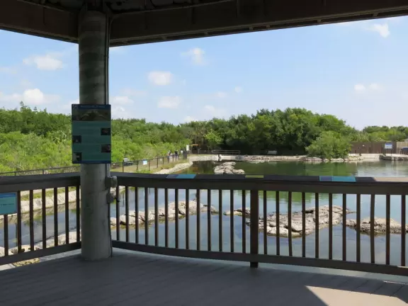Beautiful nature center on Hutchinson Island, with nature trail on boardwalks, lagoon filled with sharks and game fish, stingrays you can feed by hand, and huge ocean deck with views around the island!