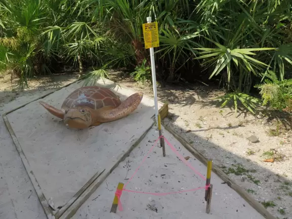 Beautiful nature center on Hutchinson Island, with nature trail on boardwalks, lagoon filled with sharks and game fish, stingrays you can feed by hand, and huge ocean deck with views around the island!