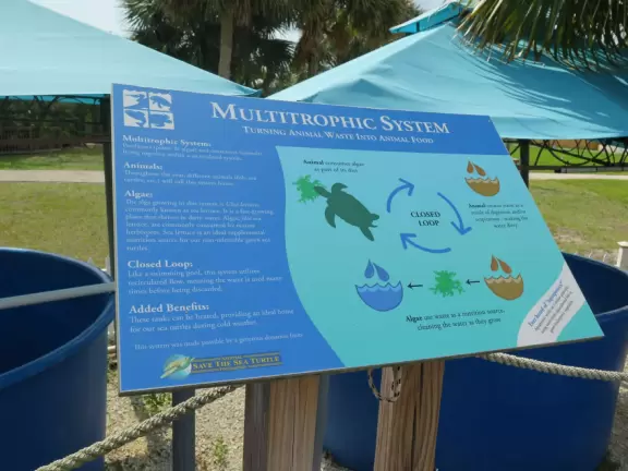 Beautiful nature center on Hutchinson Island, with nature trail on boardwalks, lagoon filled with sharks and game fish, stingrays you can feed by hand, and huge ocean deck with views around the island!